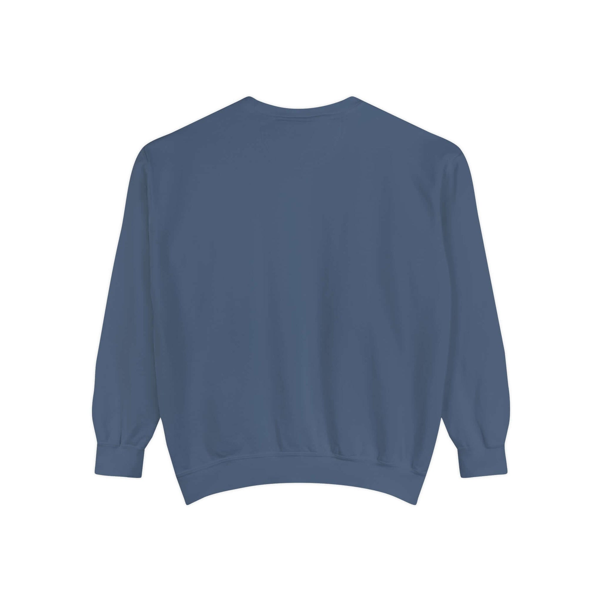 Hello Decodables | In My Reading Era Sweatshirt (Blue Text)