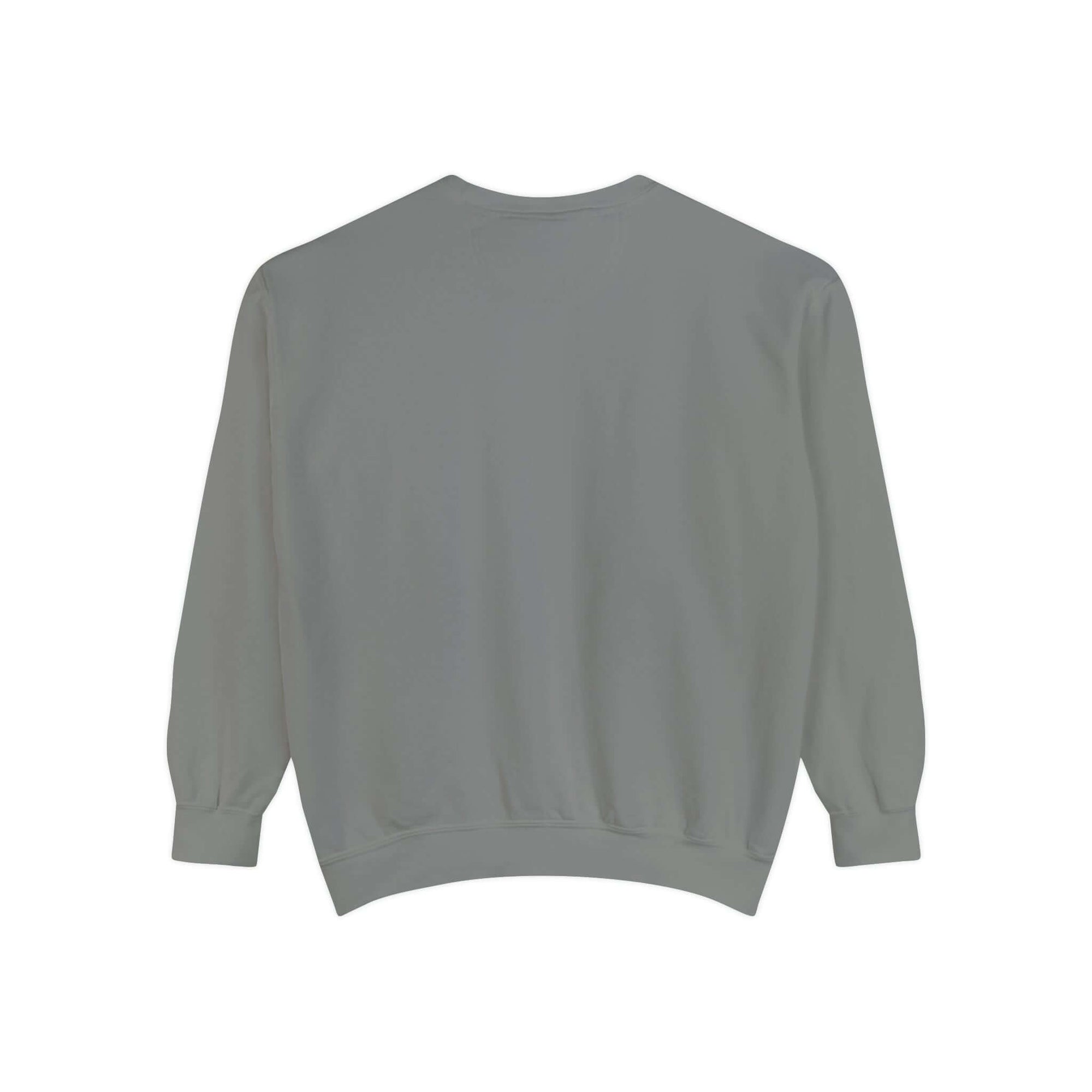 Hello Decodables | In My Reading Era Sweatshirt (Blue Text)