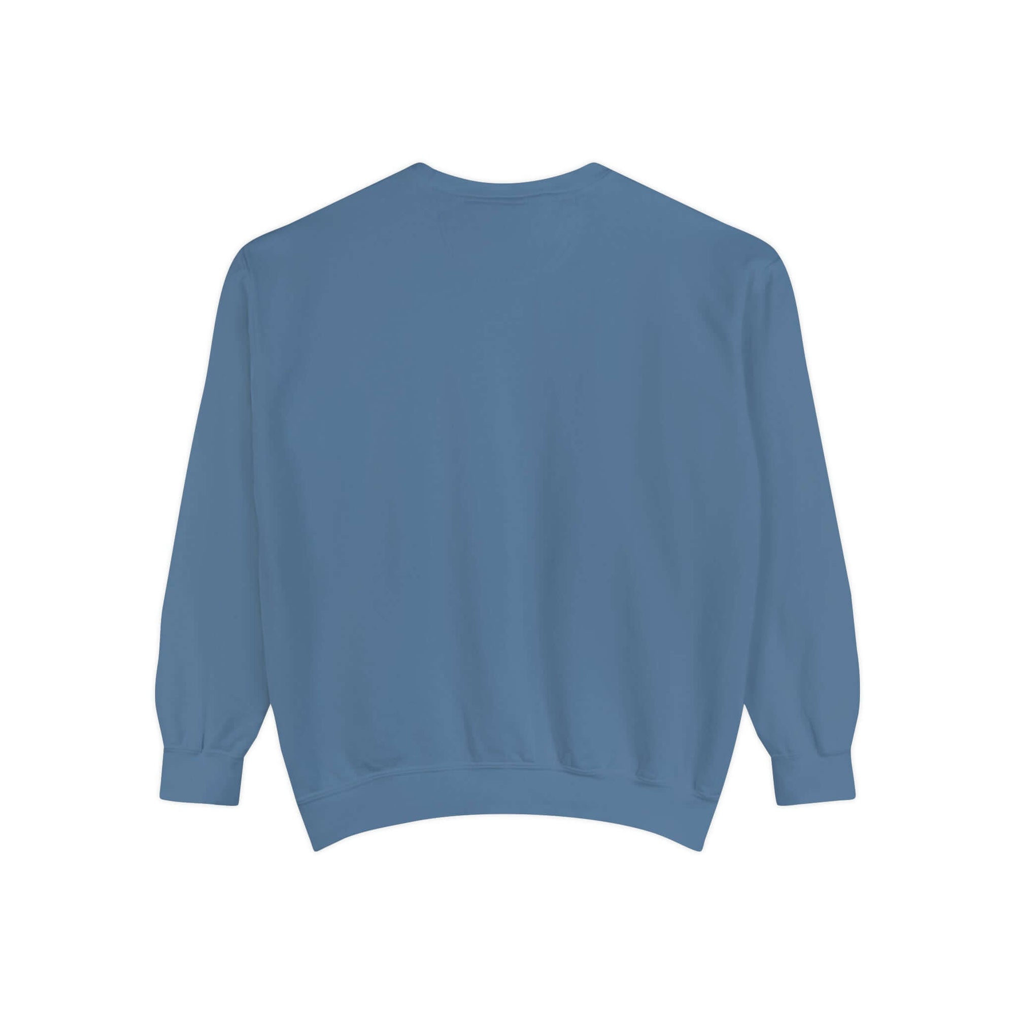 Hello Decodables | In My Reading Era Sweatshirt (Blue Text)