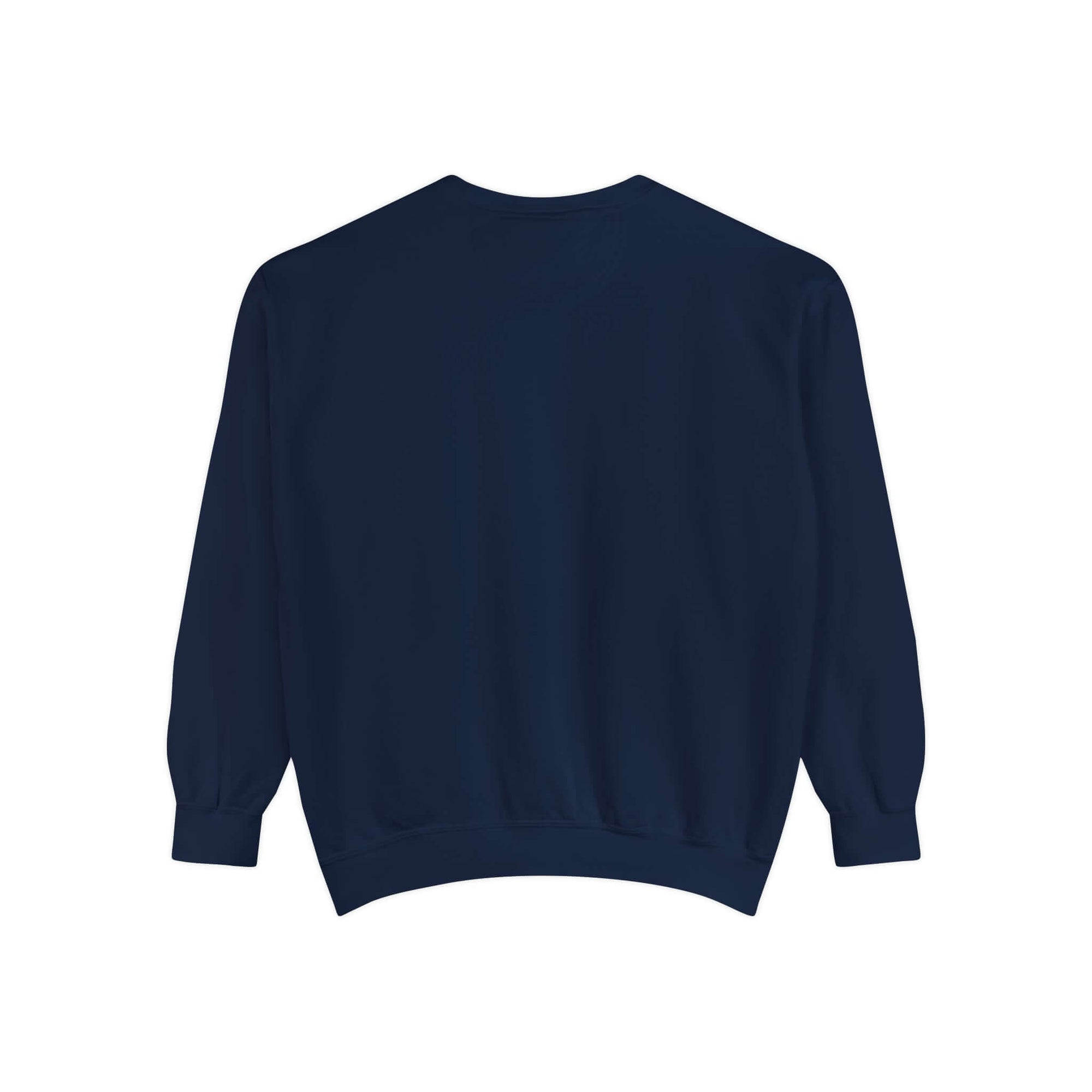 Hello Decodables | In My Reading Era Sweatshirt (Blue Text)