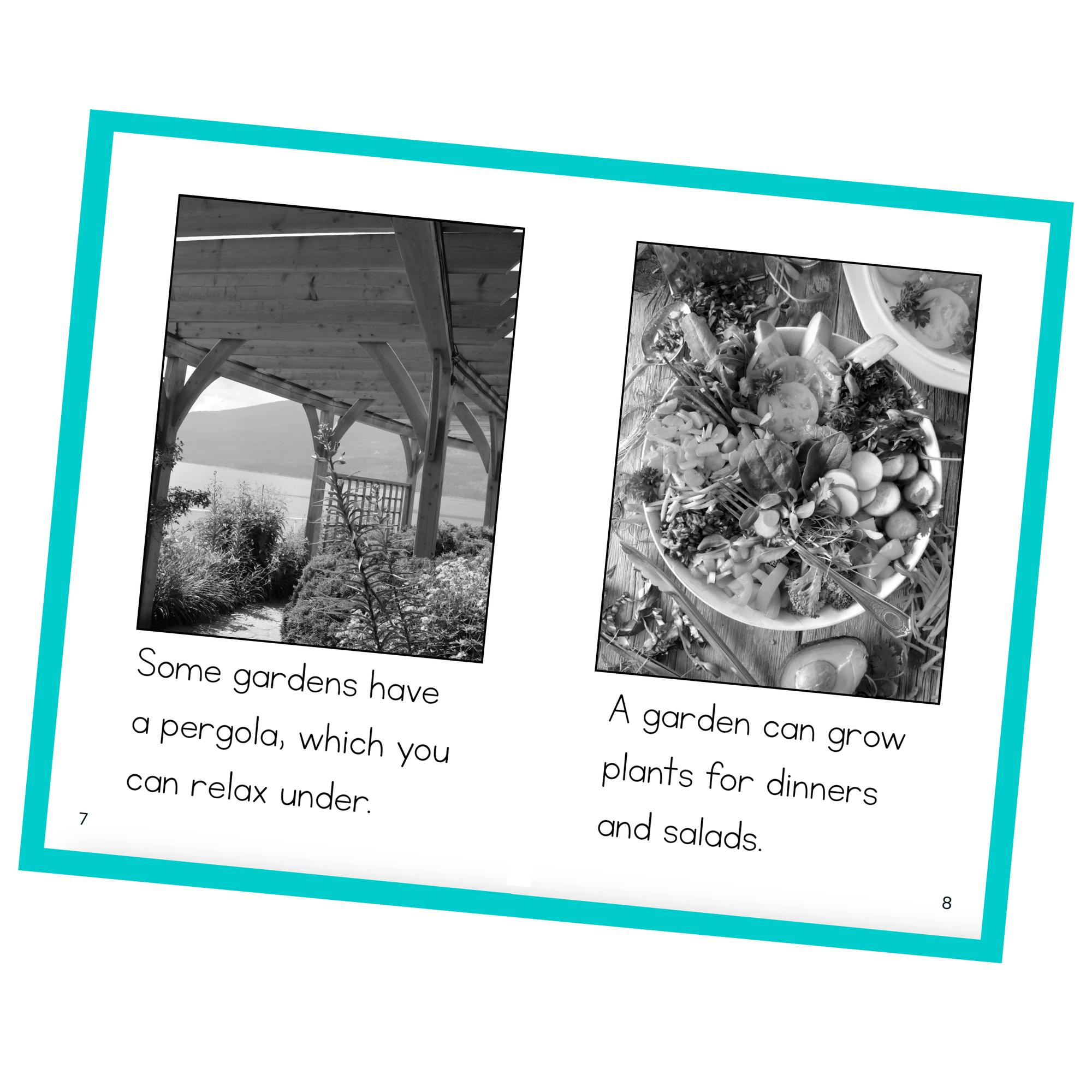 Hello Decodables | Mint Nonfiction Books: Single Pack