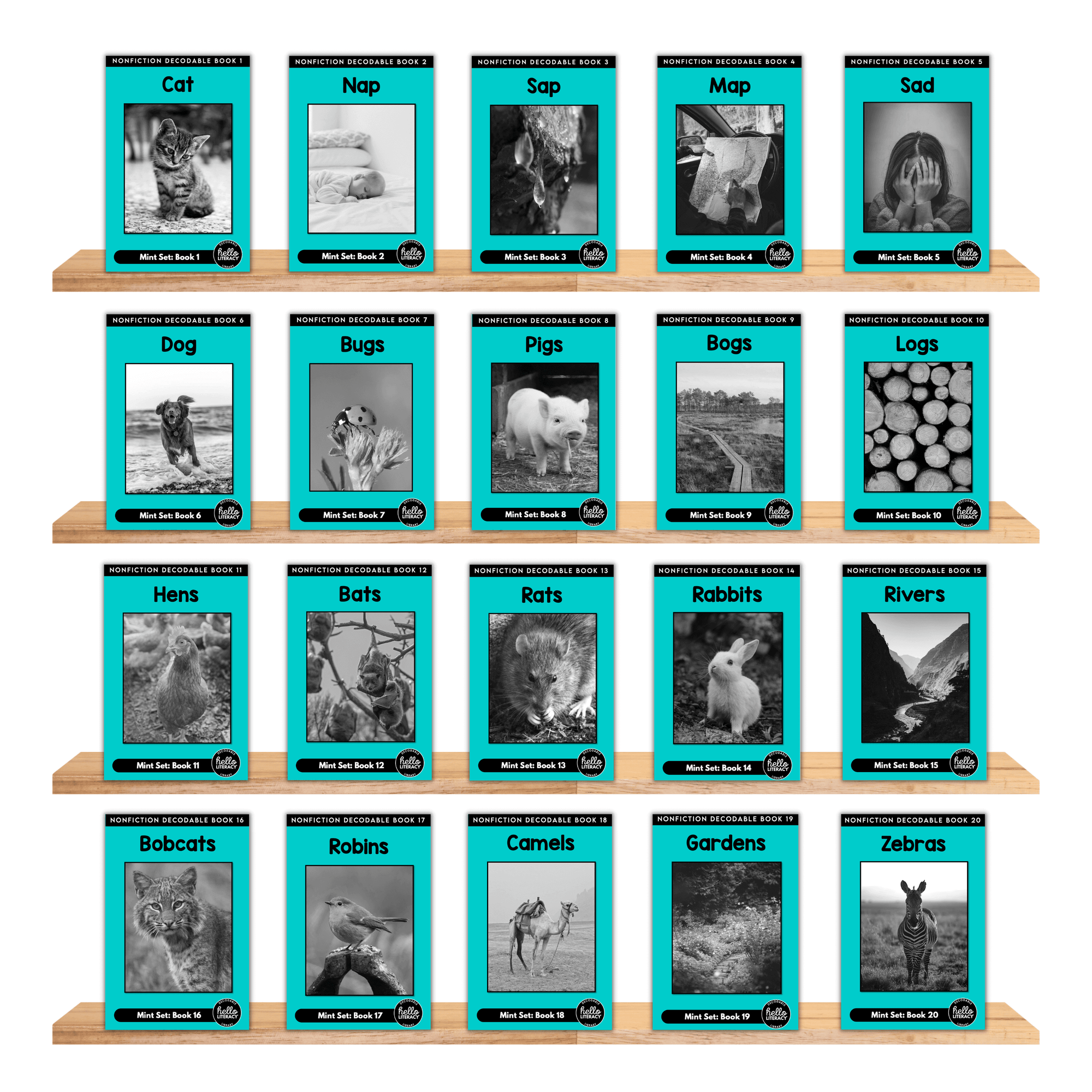 Hello Decodables | Mint Nonfiction Books: Single Pack