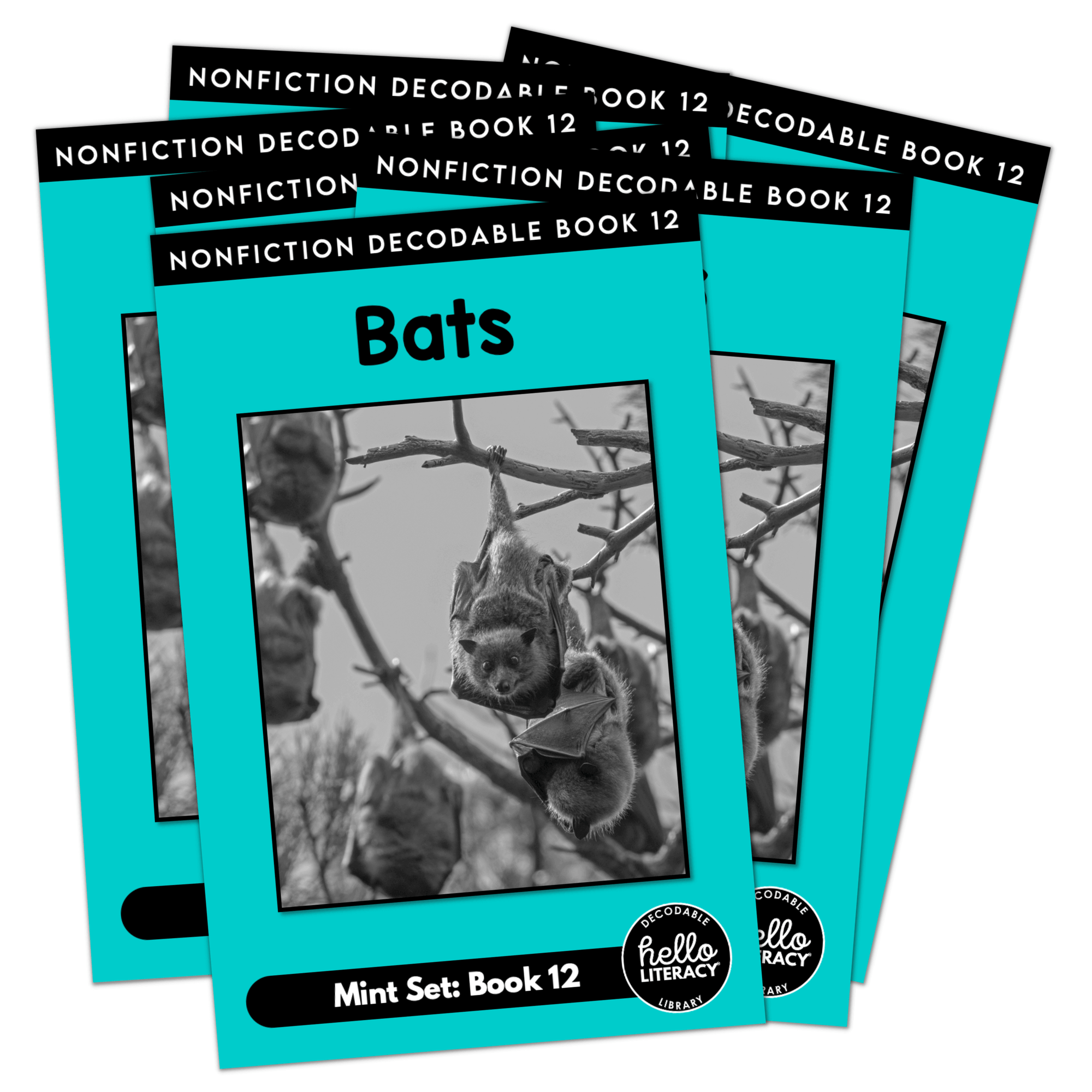 Hello Decodables | Mint Nonfiction Books: Six Pack