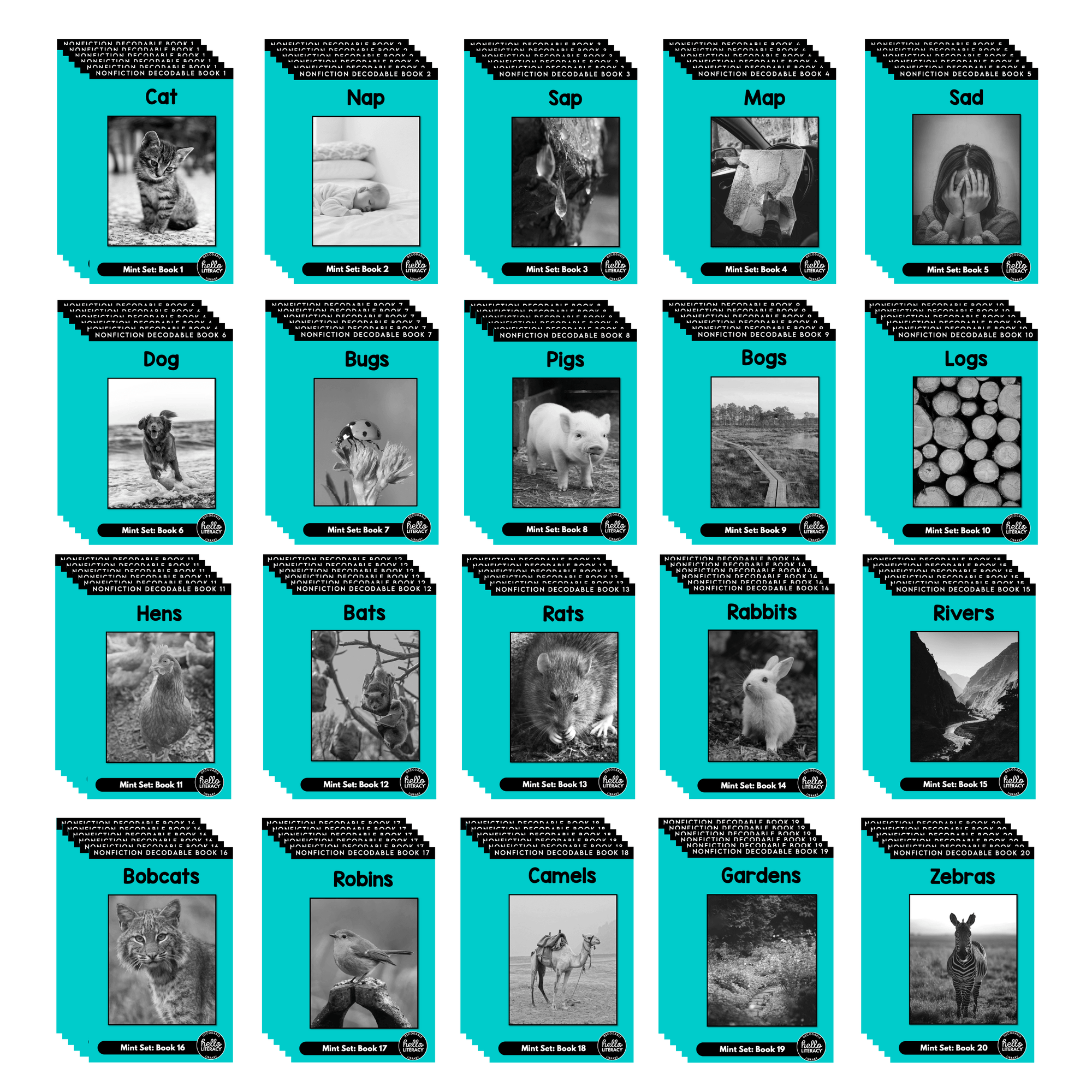 Hello Decodables | Mint Nonfiction Books: Six Pack