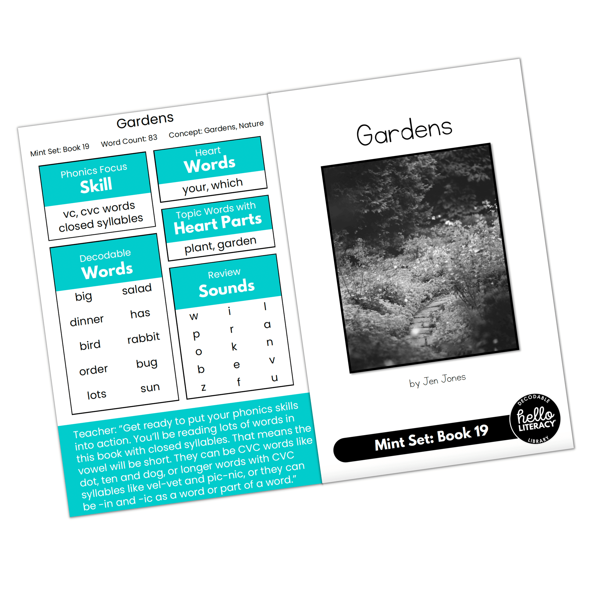 Hello Decodables | Mint Nonfiction Books: Single Pack