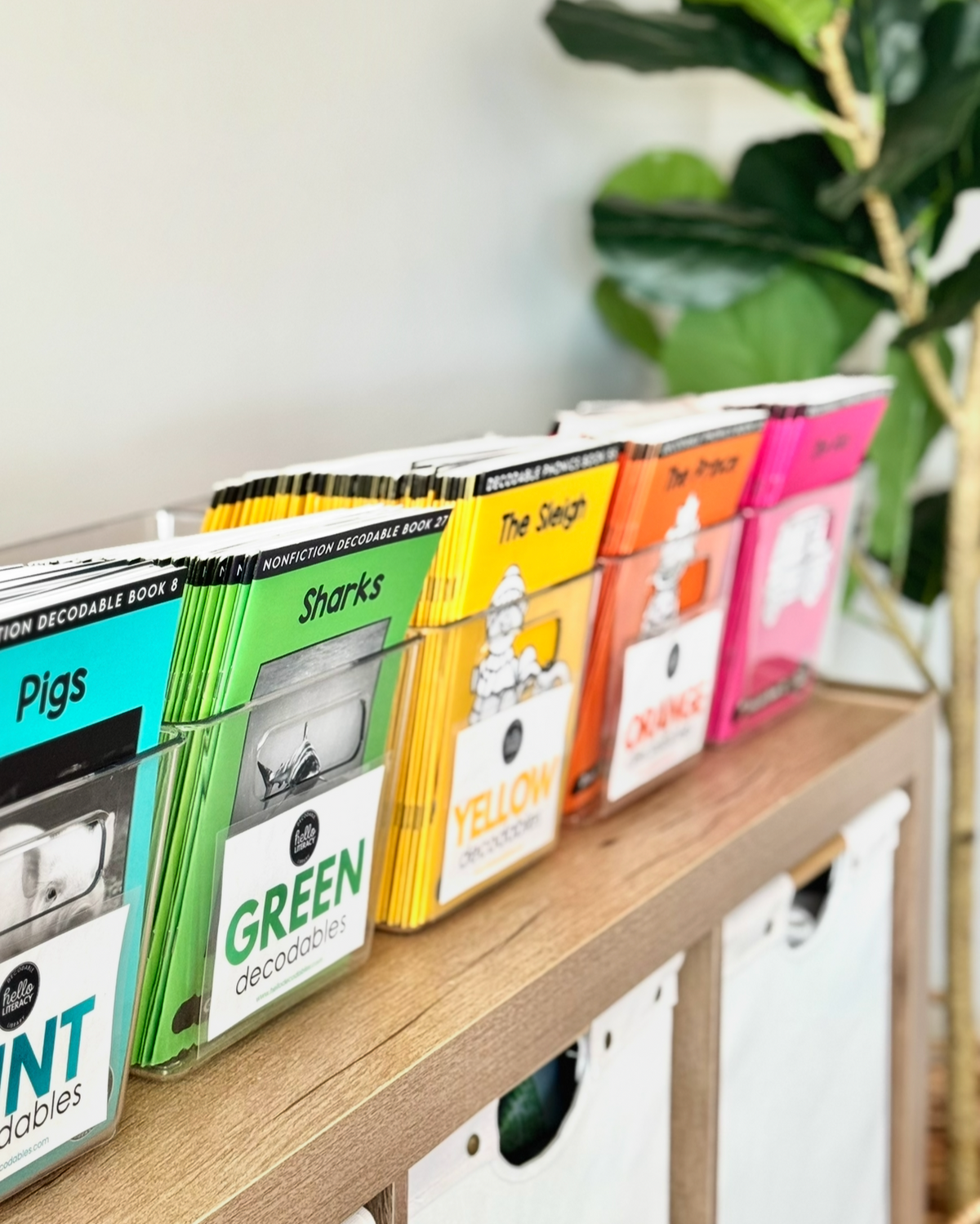 A decodable library of books in bins on a classroom shelf