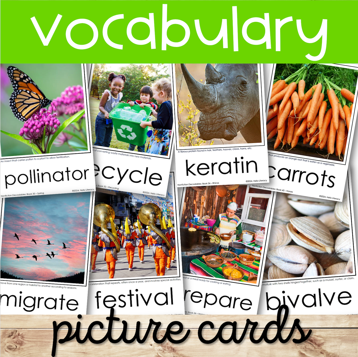 Colorful vocabulary picture cards featuring words like pollinator, recycle, and bivalve for educational use.