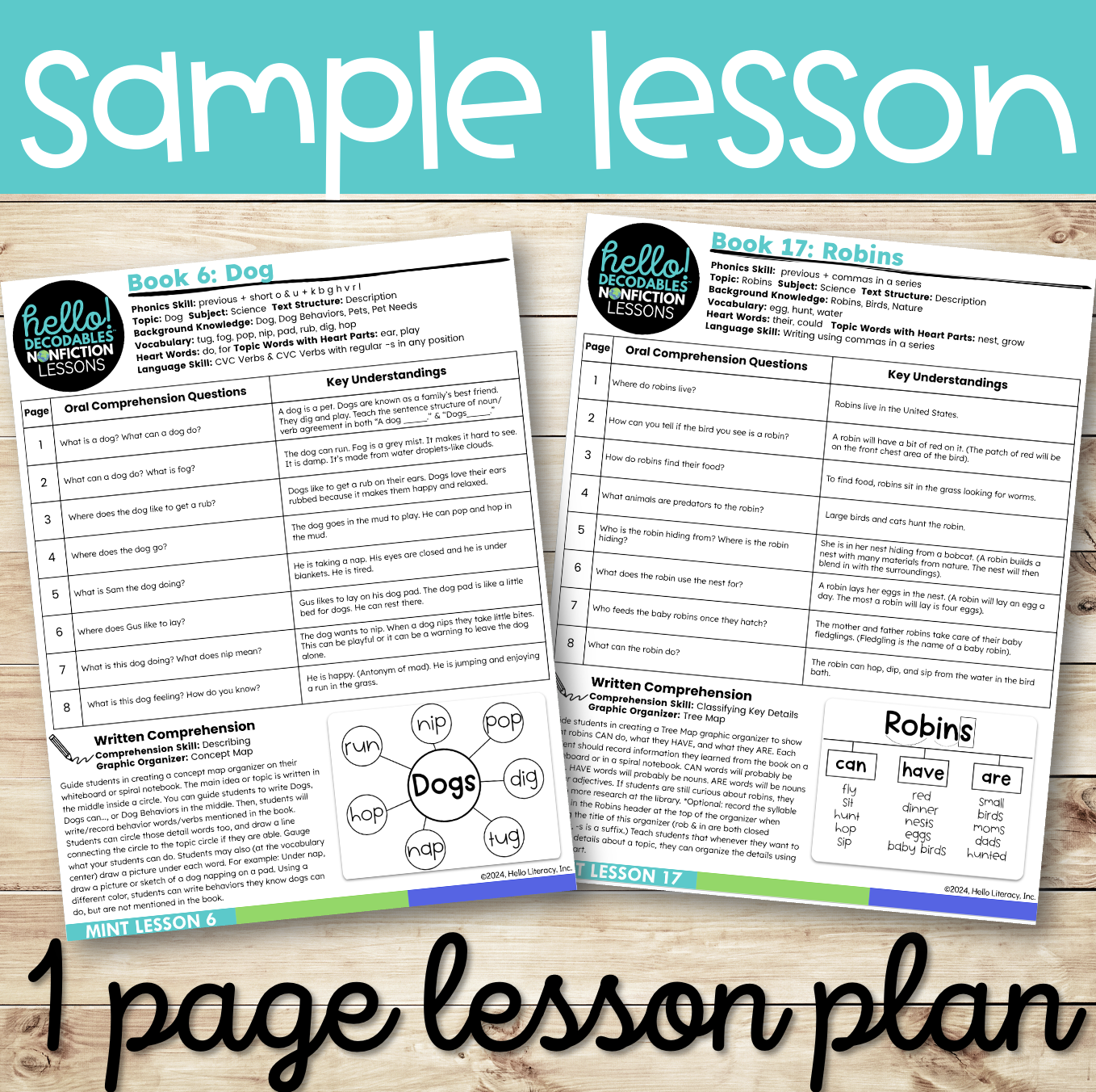 Mint Nonfiction PDF Lessons 1-20