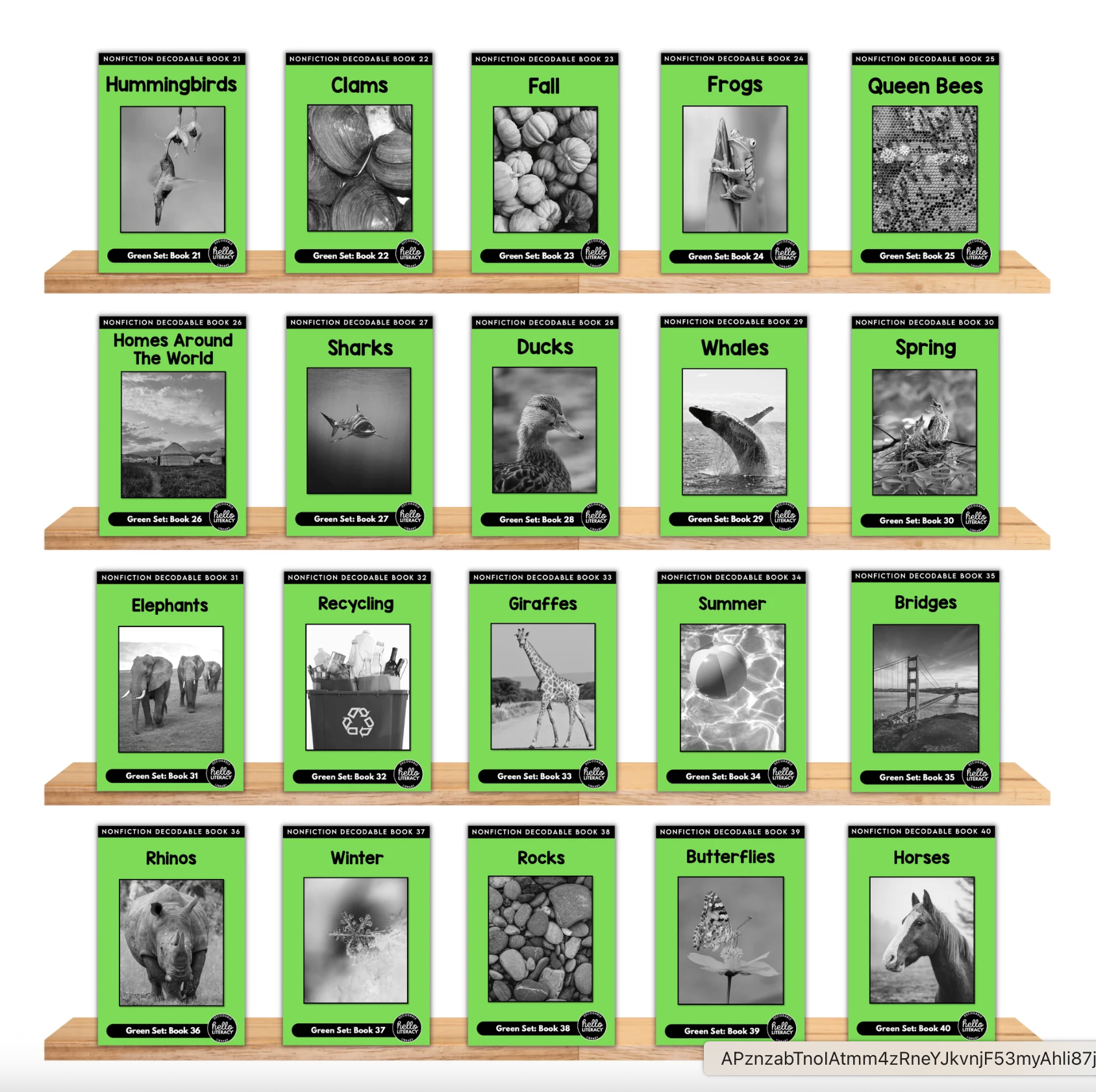 Complete Decodable Library    | 120 Books