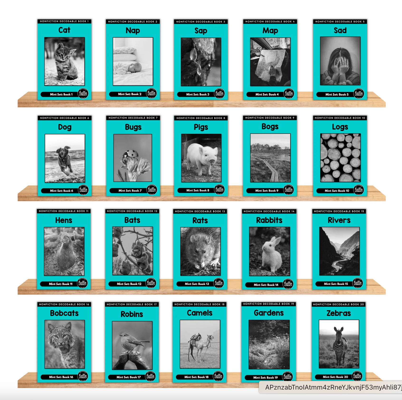 Complete Decodable Library    | 120 Books